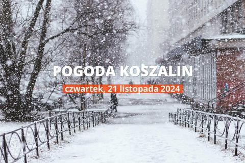 Pogoda na dziś dla Koszalina. Sprawdź prognozę pogody na czwartek 21.11.2024