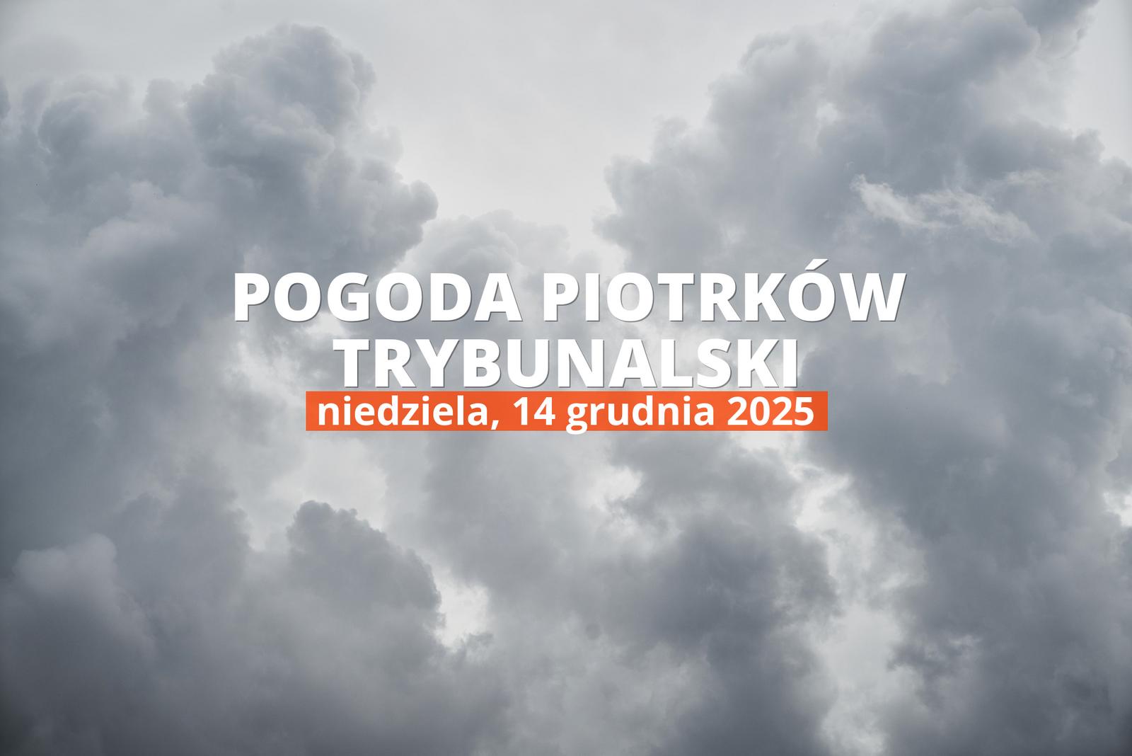 Pogoda w Piotrkowie Trybunalskim na dziś: przegląd dnia, 14 grudnia 2025