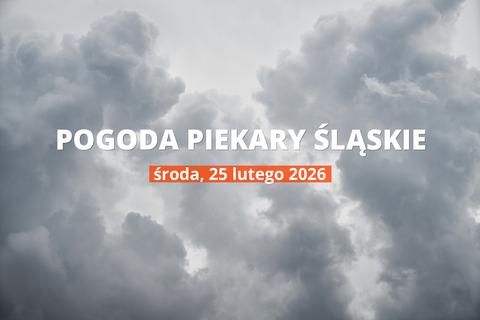 Pogoda dziś w Piekarach Śląskich: temperatura i opady, 25 lutego 2026