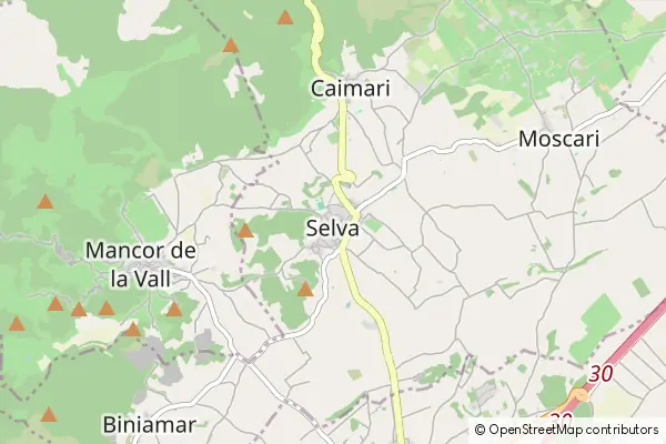 Mapa Selva