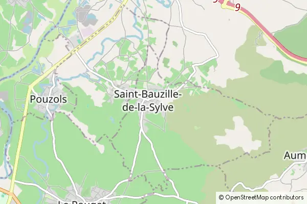 Mapa Saint-Bauzille-de-la-Sylve