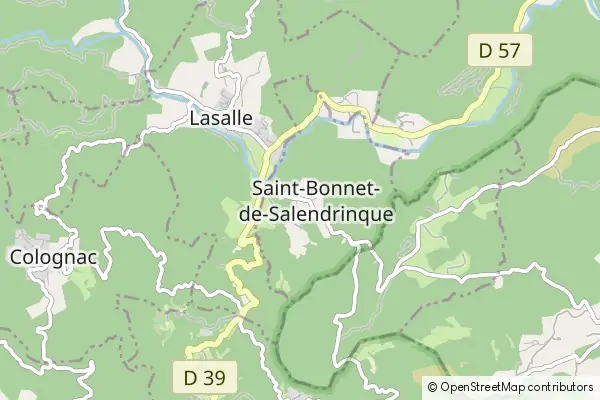 Mapa Saint-Bonnet-de-Salendrinque