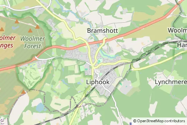 Mapa Liphook