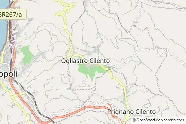 Mapa Ogliastro Cilento