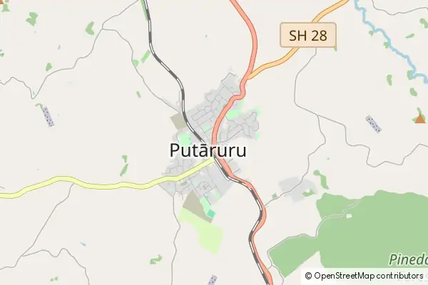 Mapa Putaruru