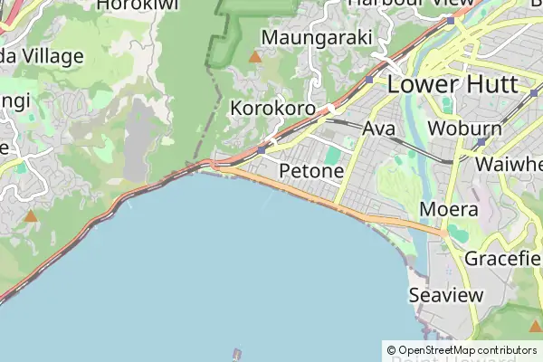 Mapa Petone