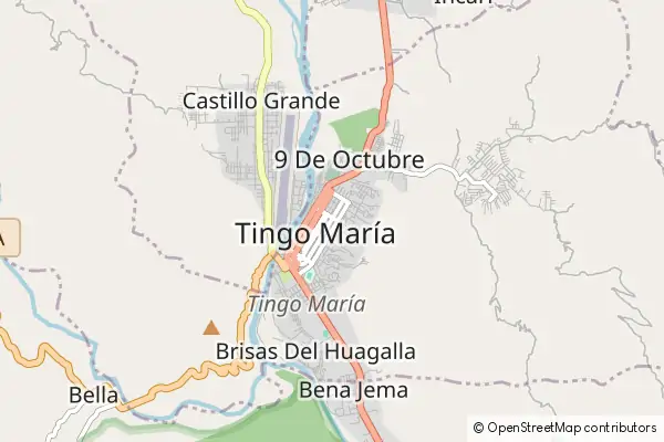 Mapa Tingo María