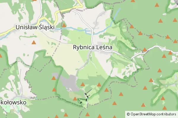 Mapa Rybnica Leśna