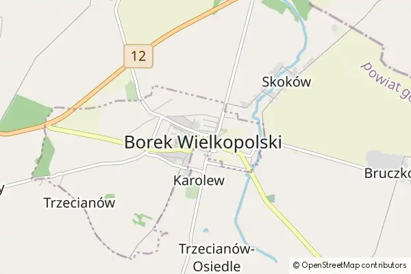 Mapa Borek Wielkopolski