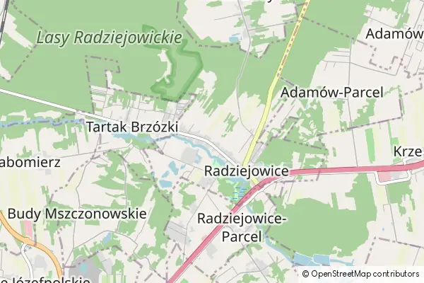 Mapa Radziejowice