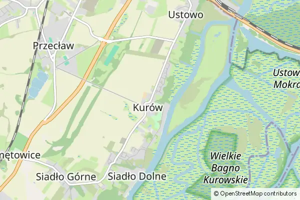 Mapa Kurów