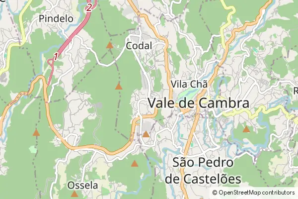 Mapa Vale de Cambra