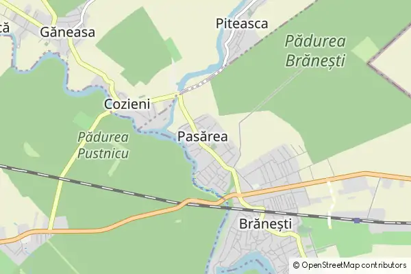 Mapa Pasărea