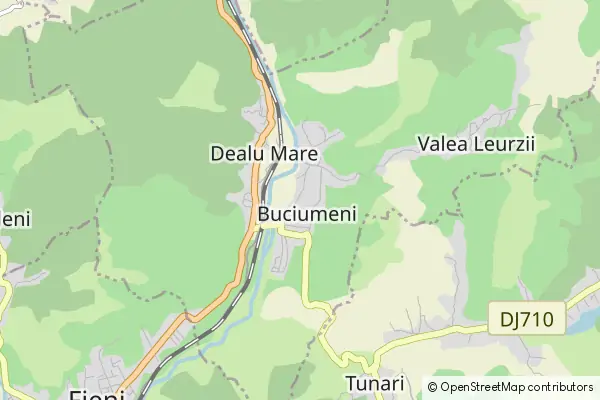 Mapa Buciumeni