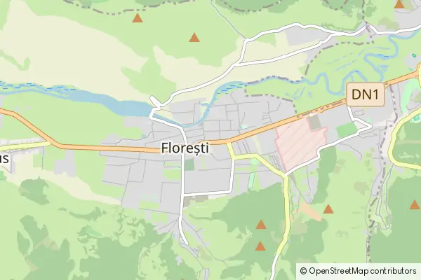 Mapa Florești