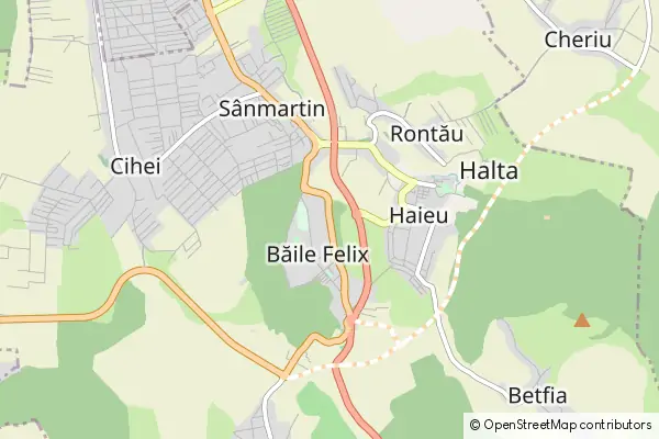 Mapa Băile Felix