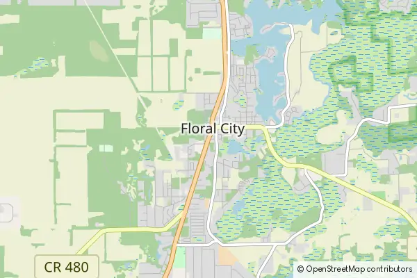 Mapa Floral City