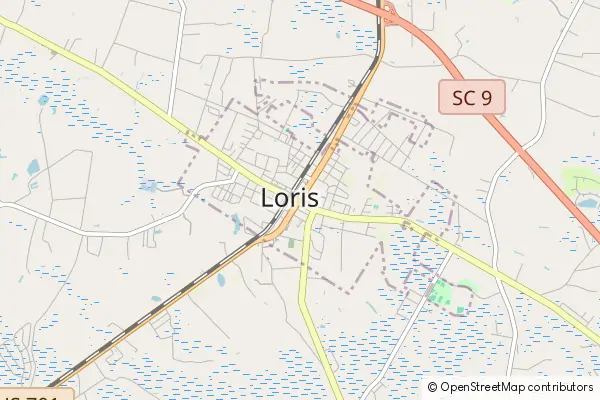 Mapa Loris