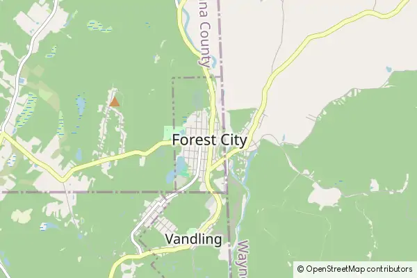 Mapa Forest City