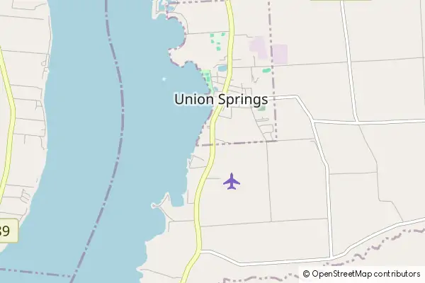 Mapa Union Springs