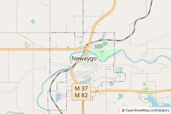 Mapa Newaygo